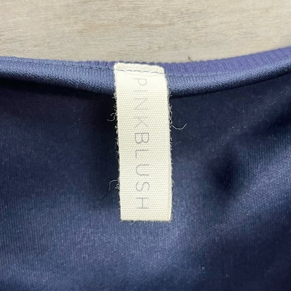 Pinkblush Maternity Navy Stripped Soft Mini Dress - Picture 5 of 6